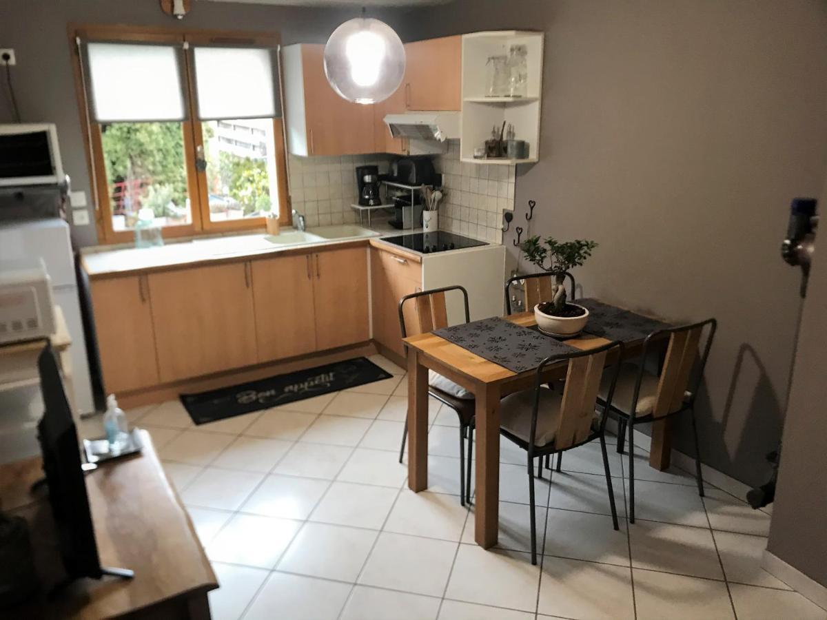Charmant Appartement 2-4 Personnes Entre Annecy Et Aravis Thones Exterior photo