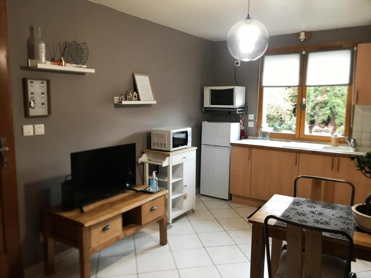 Charmant Appartement 2-4 Personnes Entre Annecy Et Aravis Thones Exterior photo